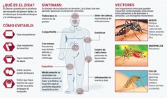 Sintomas del sika
