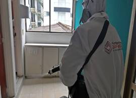 nebulización en armenia y pereira