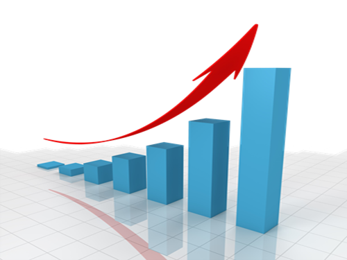 Mejor rendimiento empresarial con control de plagas Bay-Were Armenia Pereira