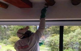 Aplicación de protectores de madera para prevenir comején